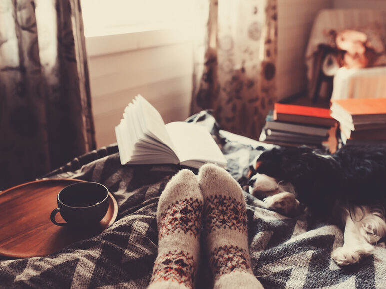 boek, kerst